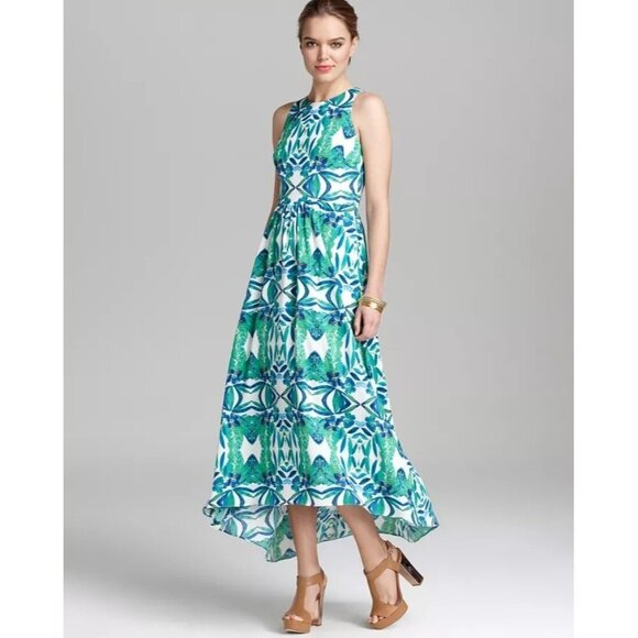 Cynthia Steffe Dresses & Skirts - Cynthia Steffe Sydney Printed Dress Floral Maxi Summer Women's Size 12 New NWT